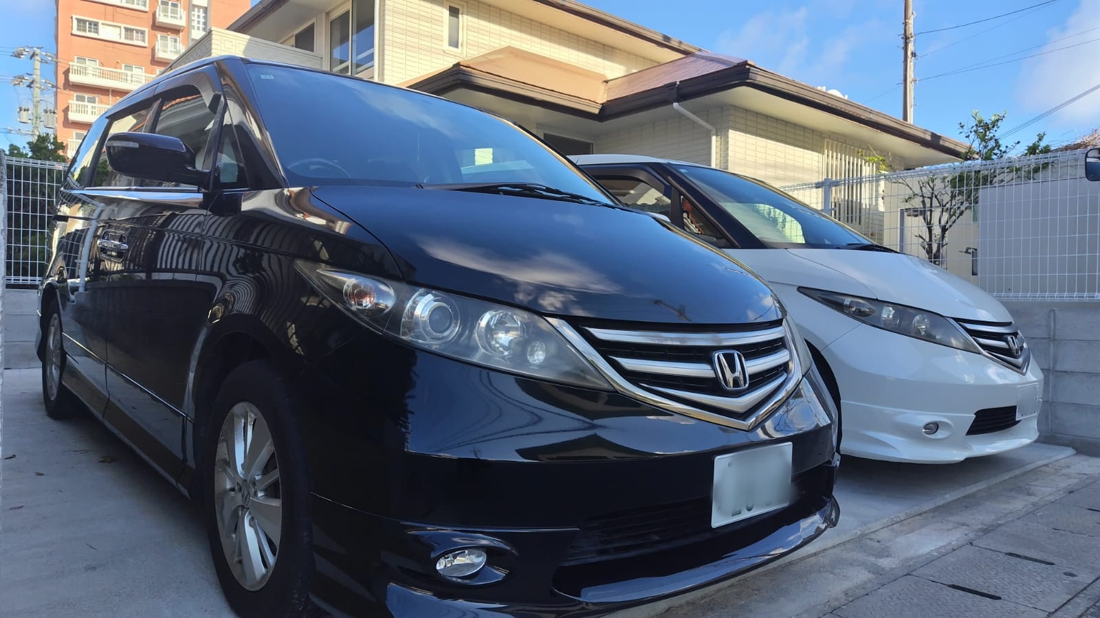 Honda Elysion Black